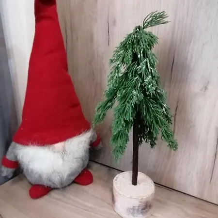 Apartman Div Kopaonik