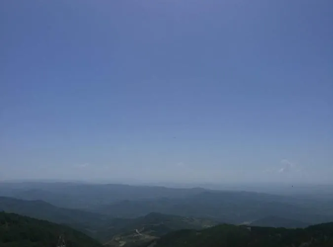 Div Апартаменты *