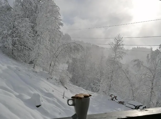 Div * Κοπαόνικ