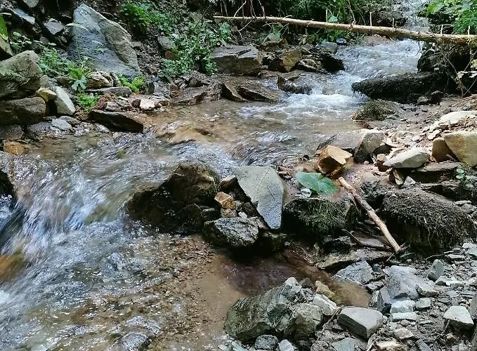 Div Κοπαόνικ