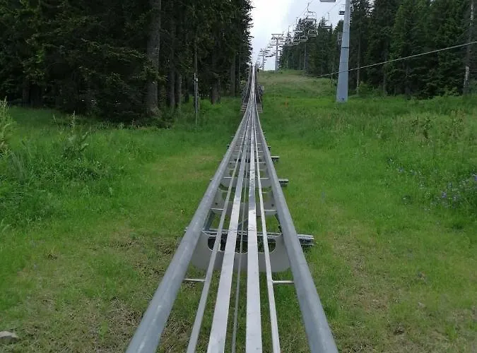 Div * Κοπαόνικ