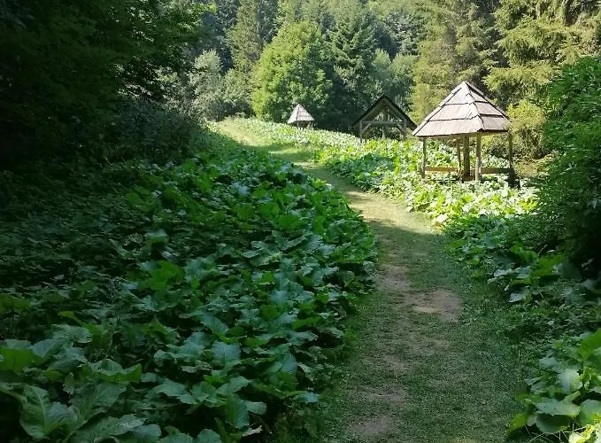 Διαμέρισμα Div